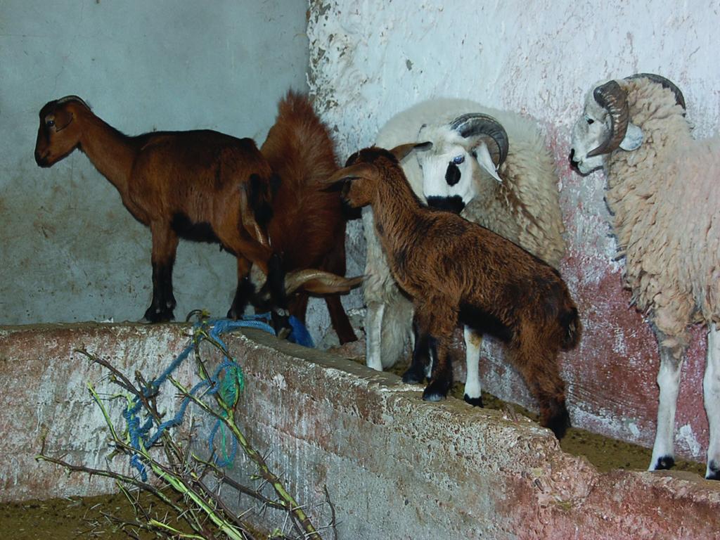 Gite Souss Oulad Teïma エクステリア 写真