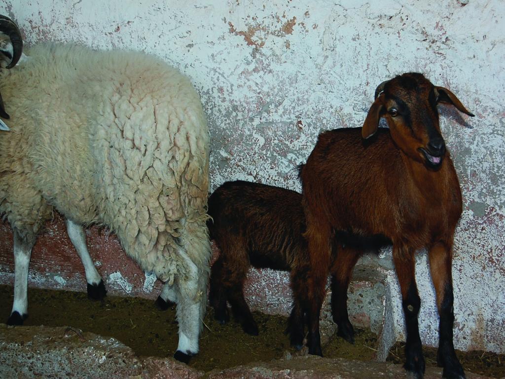 Gite Souss Oulad Teïma エクステリア 写真