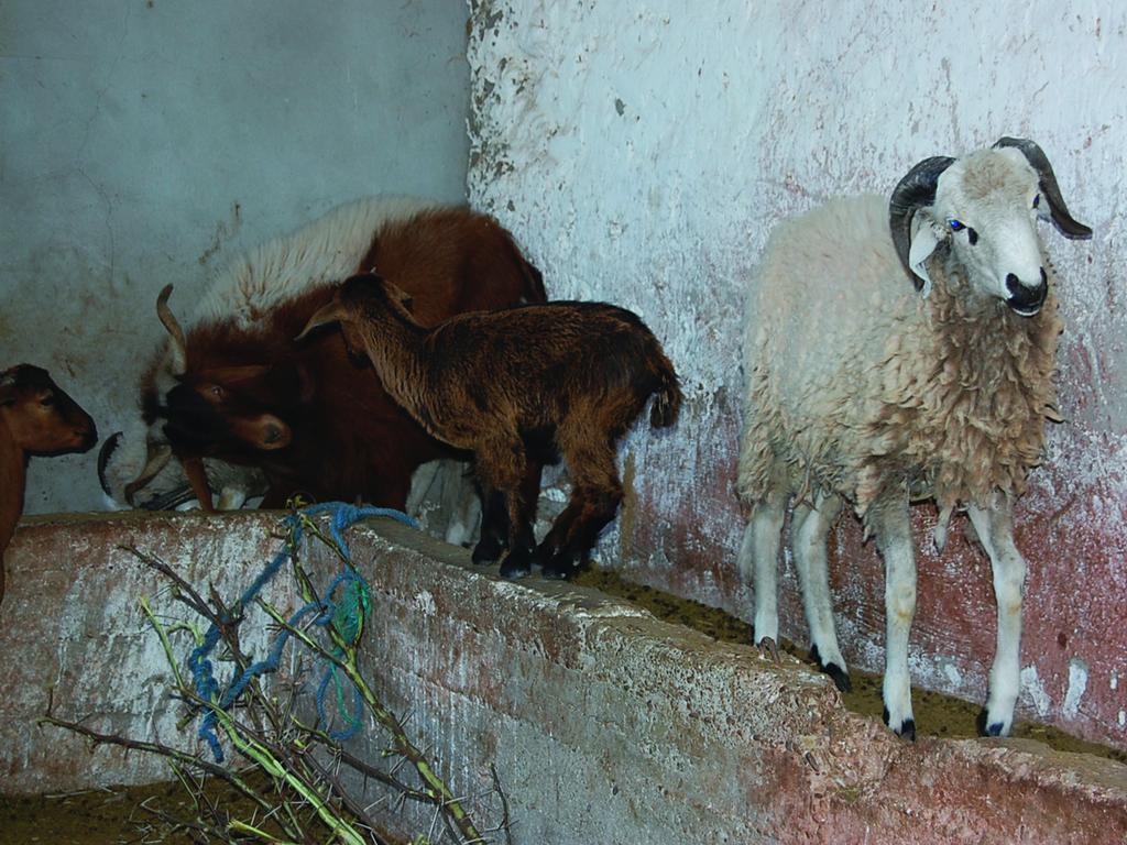 Gite Souss Oulad Teïma エクステリア 写真