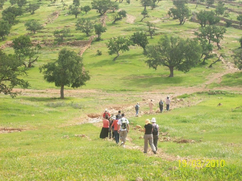 Gite Souss Oulad Teïma エクステリア 写真